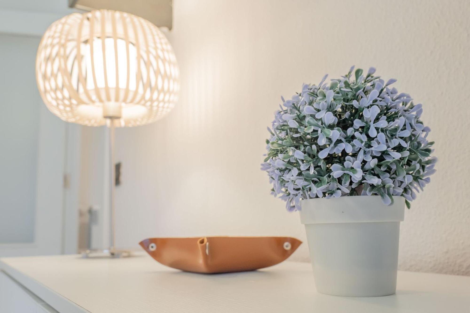 Nabucco Apartment โอเบียโด ภายนอก รูปภาพ